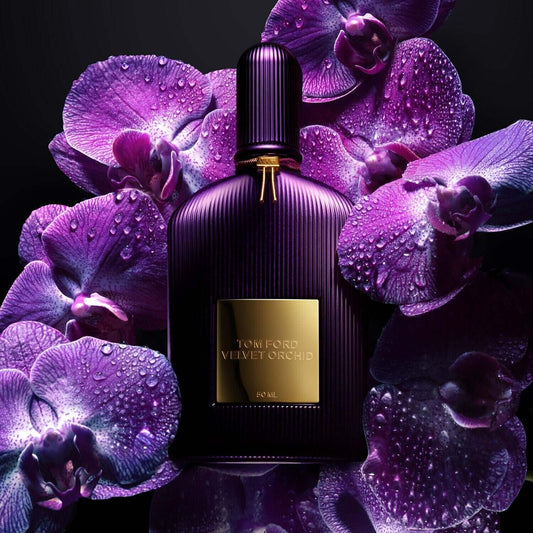Flacon de parfum TOM FORD VELVET ORCHID (W) EDP 50ML - Dreams Fragrance | Dreams Fragrance