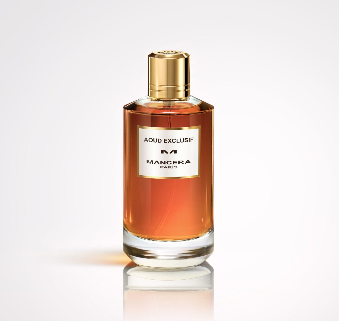EXCLUSIVE AOUD MANCERA