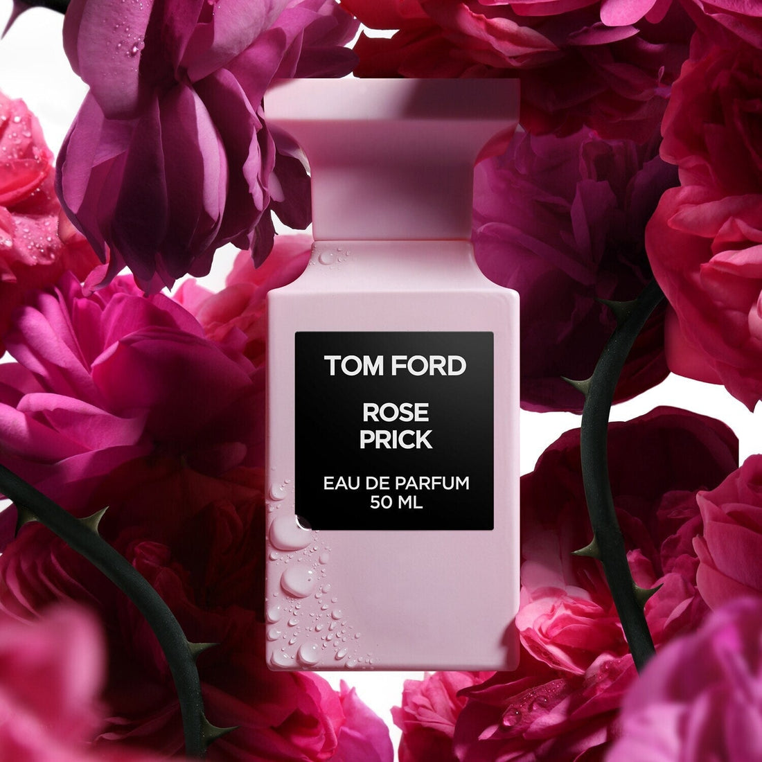 Le langage secret du parfum – Comment il façonne nos émotions - Dreams Fragrance